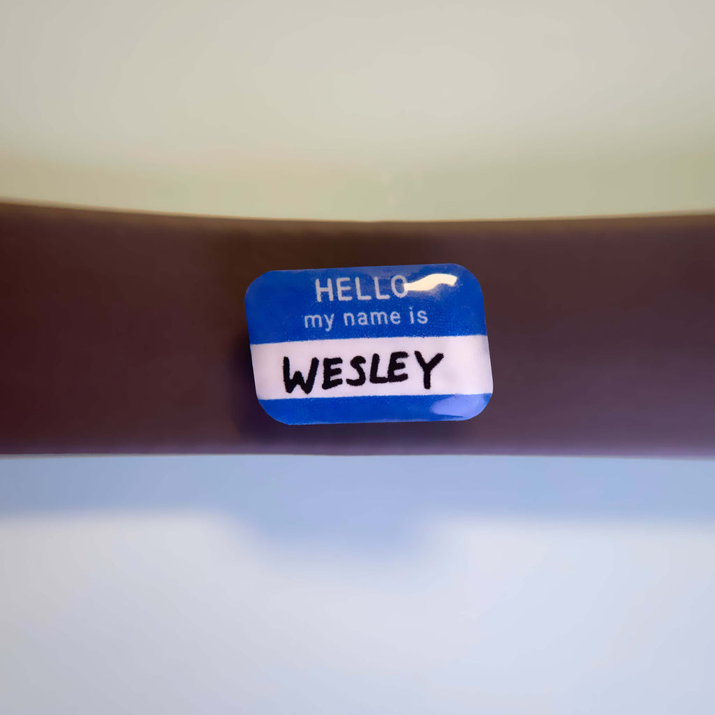 Blue name tag sticker inspired dog charm on waterproof leash.