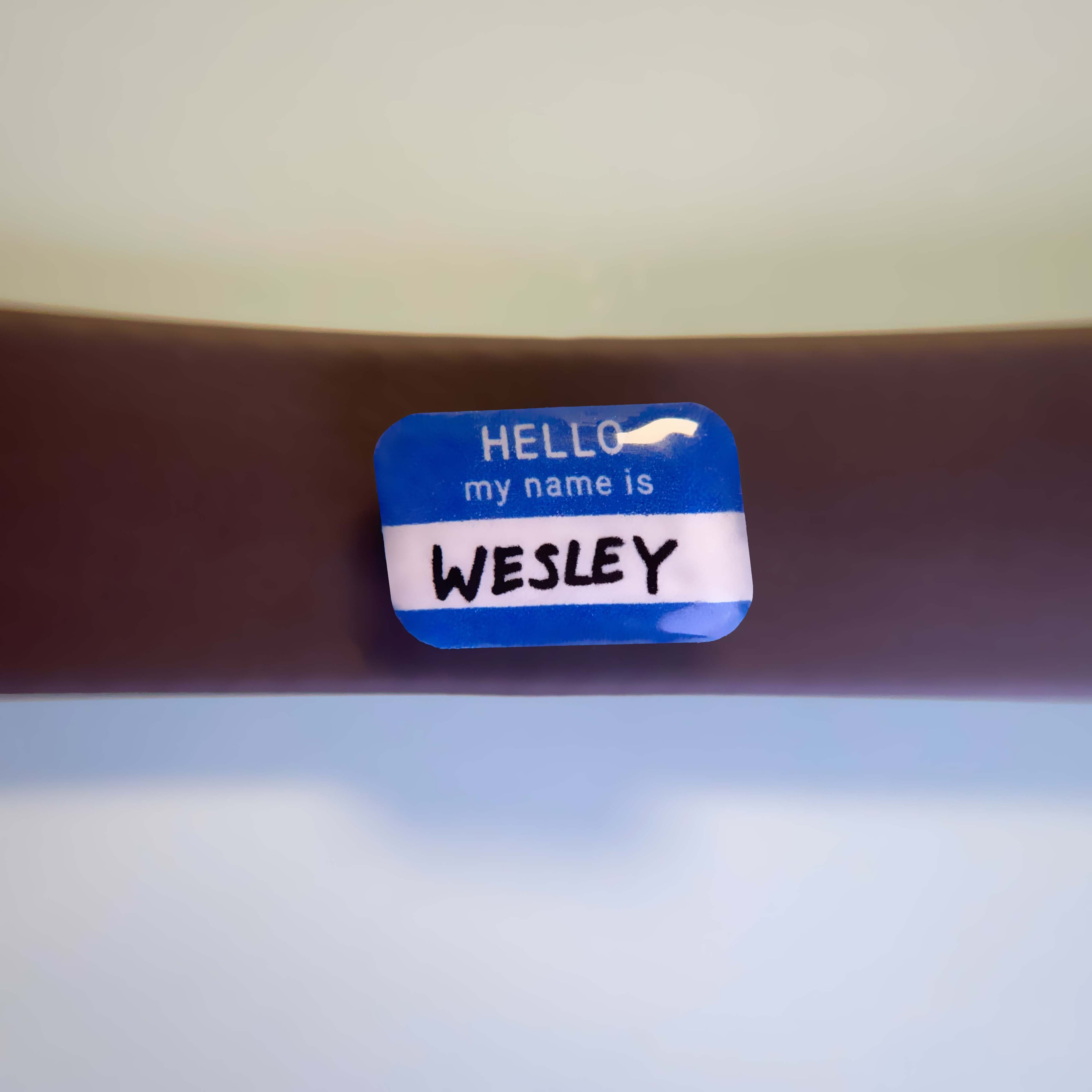 Blue name tag sticker inspired dog charm on waterproof leash.