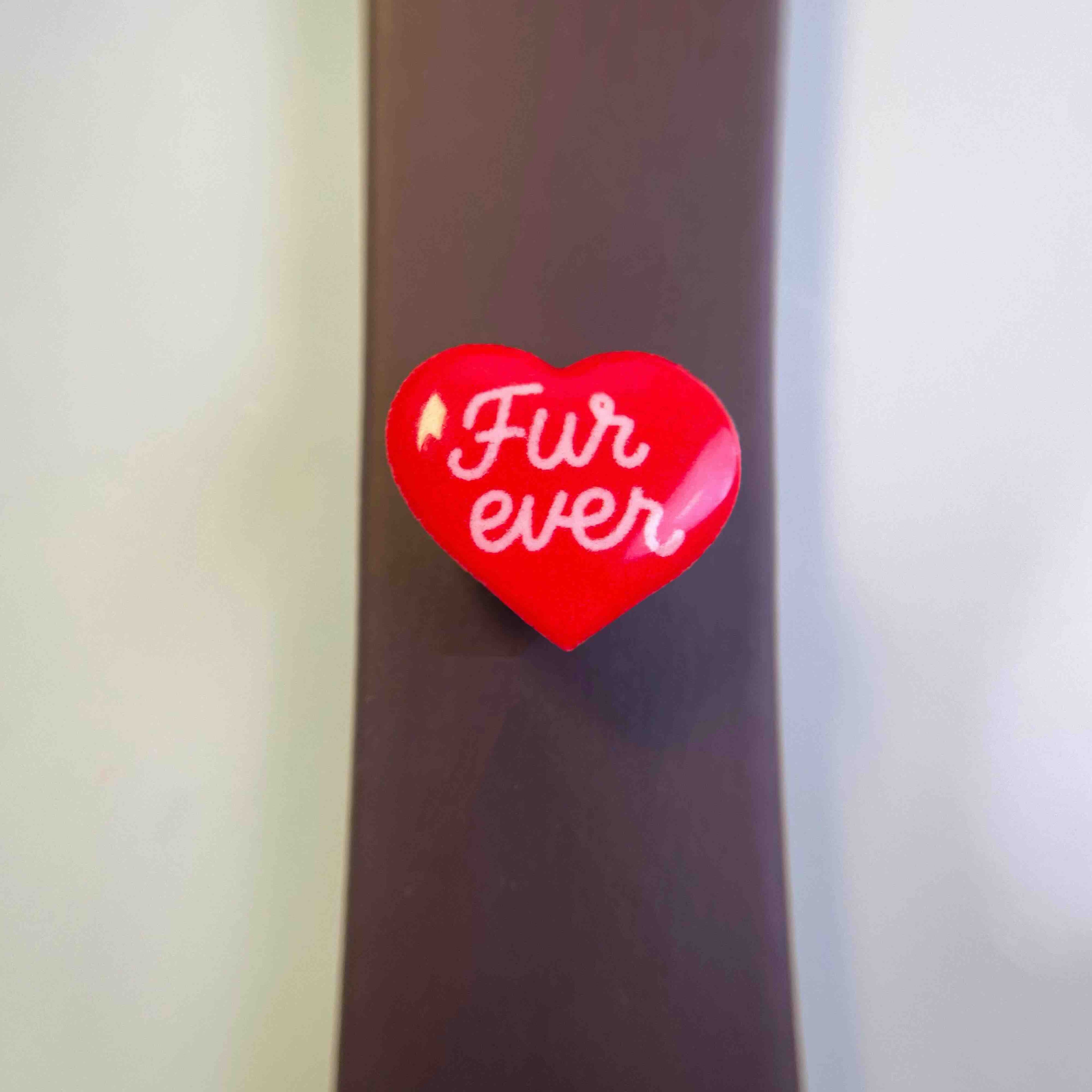 Heart dog charm on brown leash