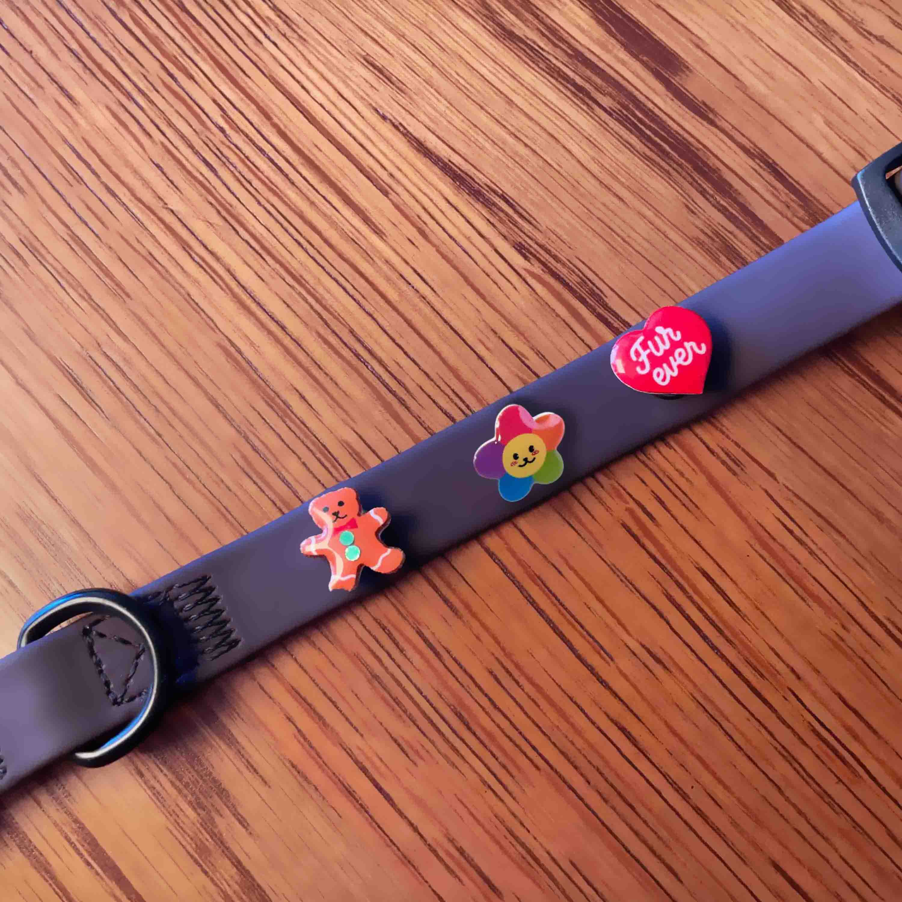 Brown dog collar with colorful charms on a wooden surface