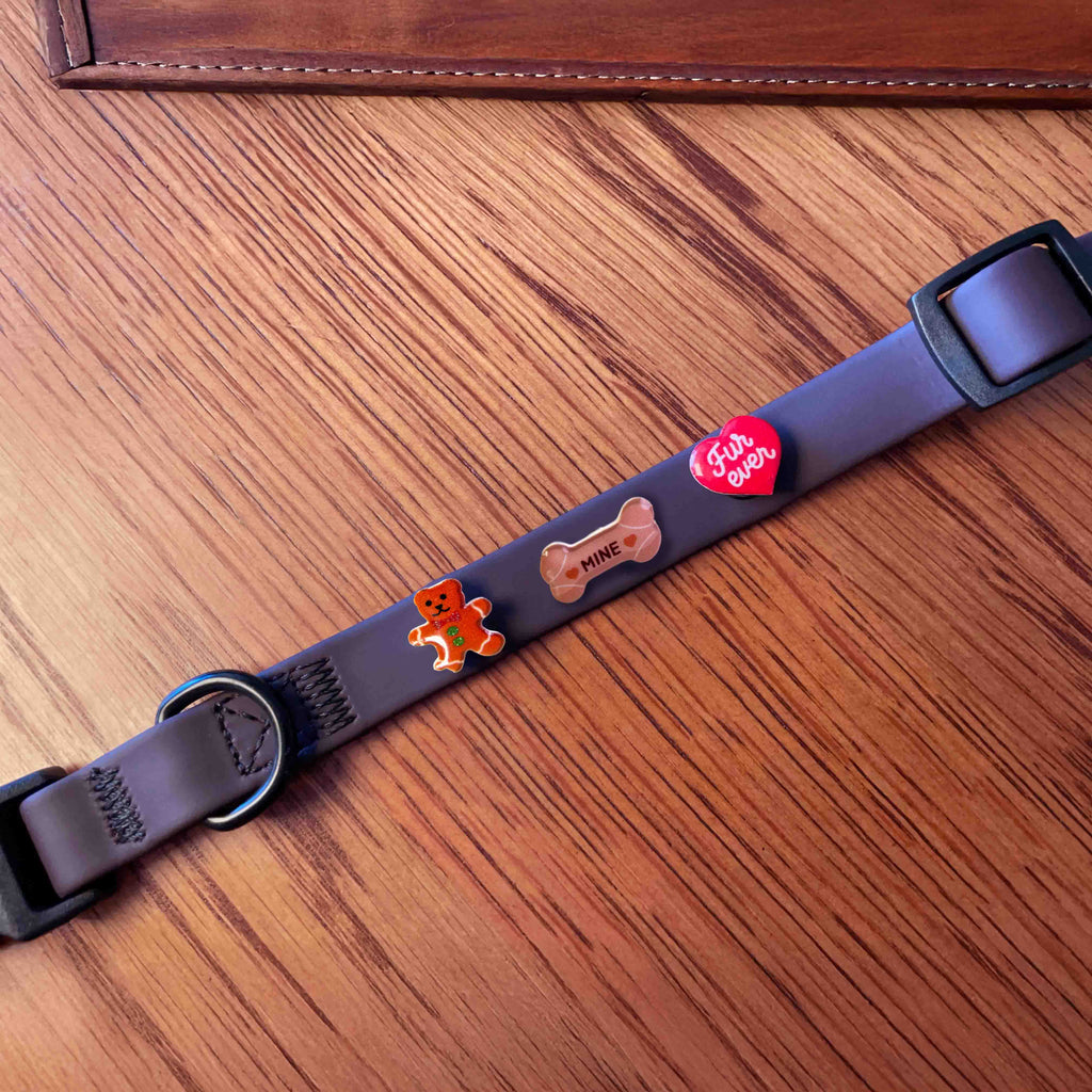 Brown dog collar with three colorful charms on a wooden surface