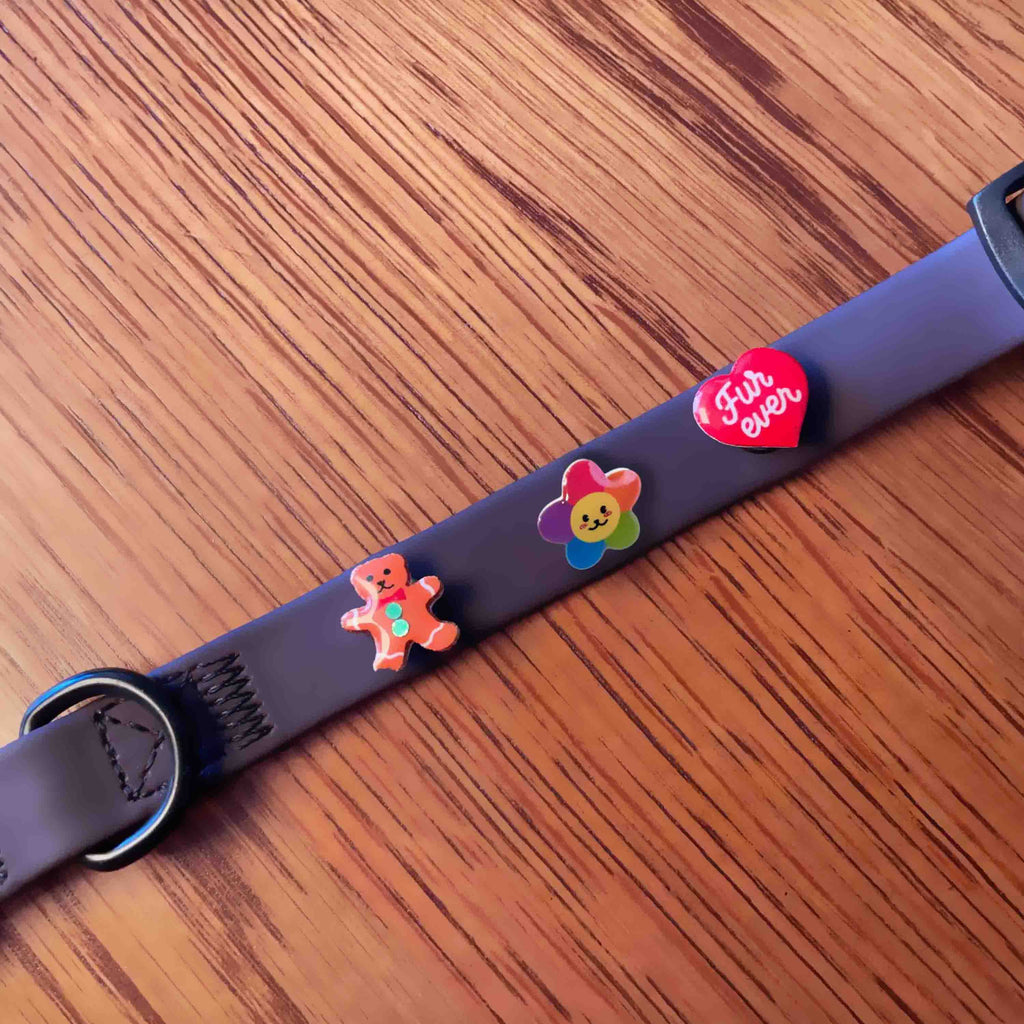 Dog collar with colorful charms on a wooden surface