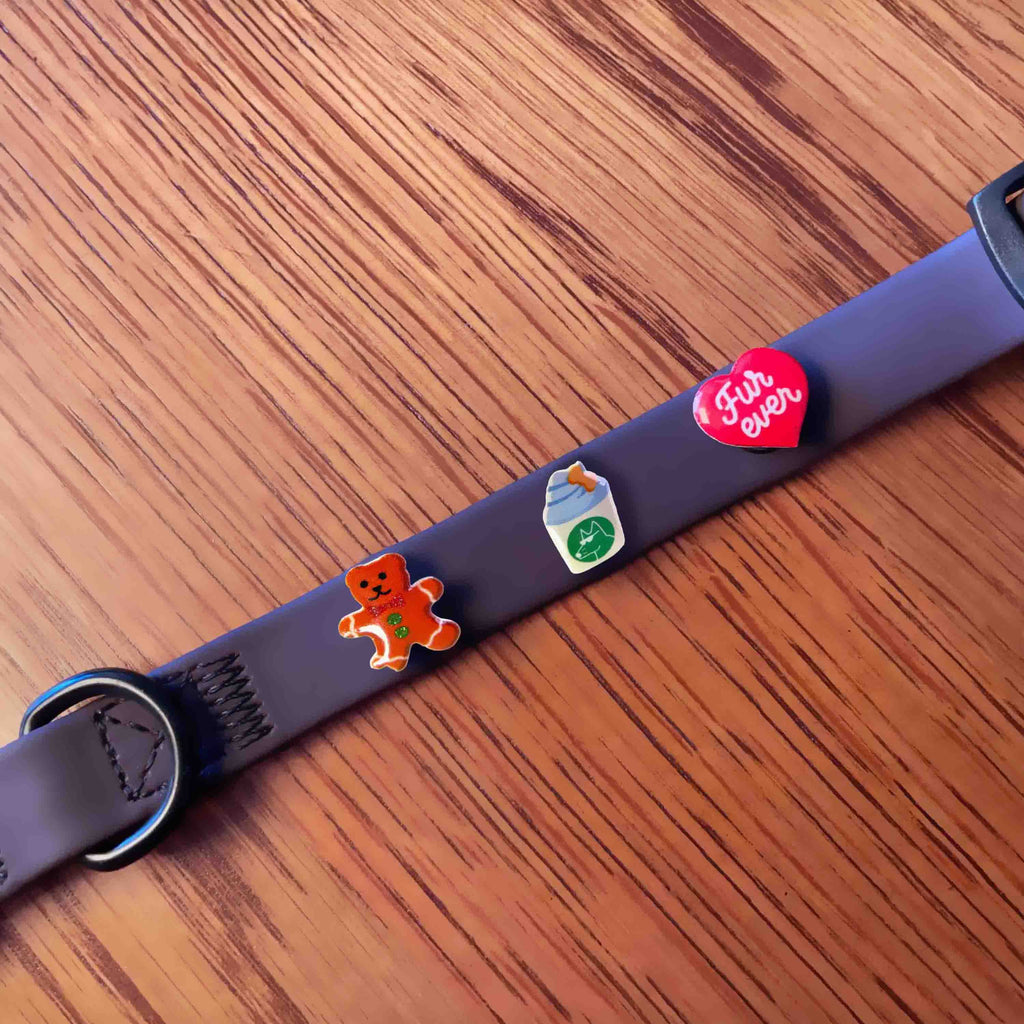 Three charms on waterproof dog collar.