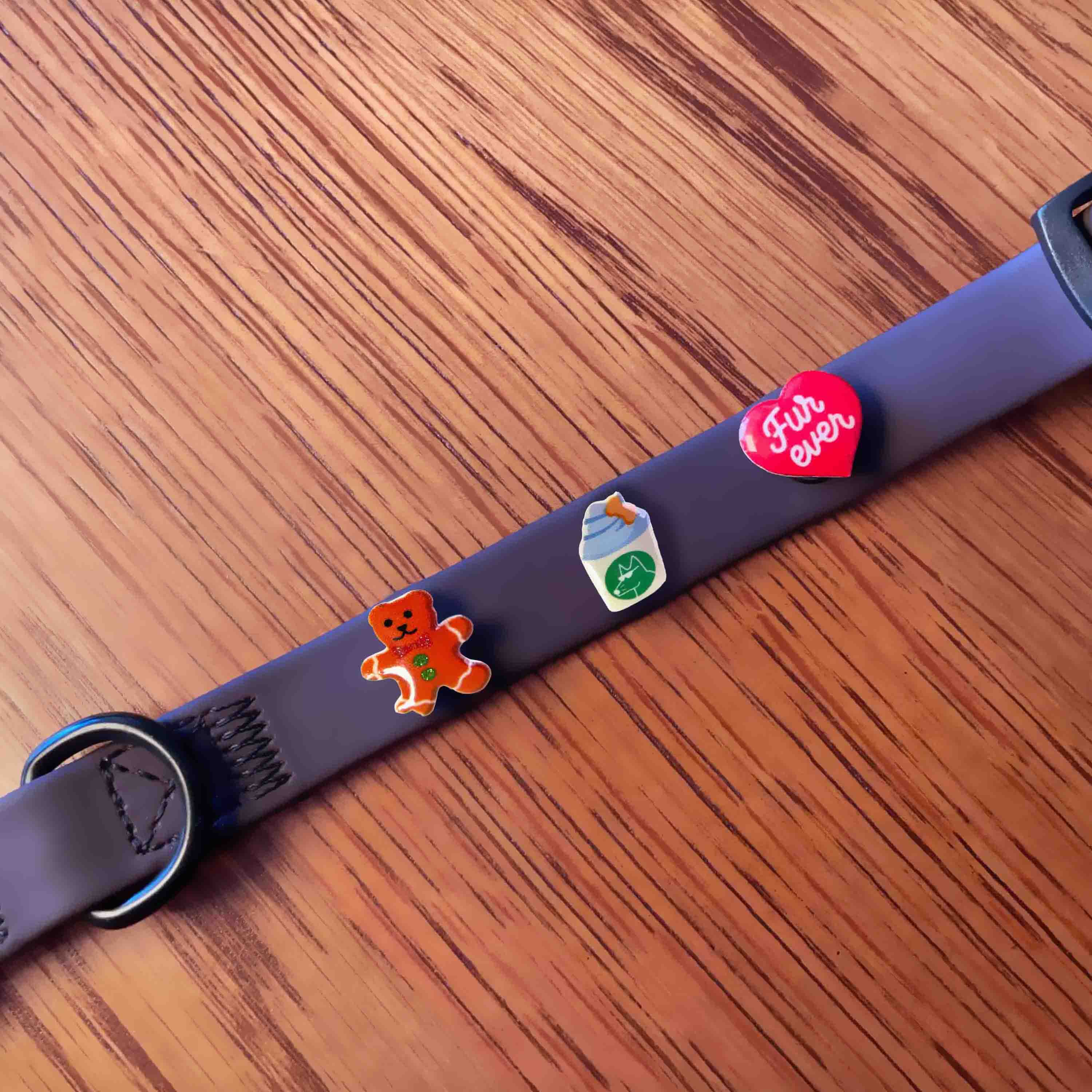 Three charms on waterproof dog collar.
