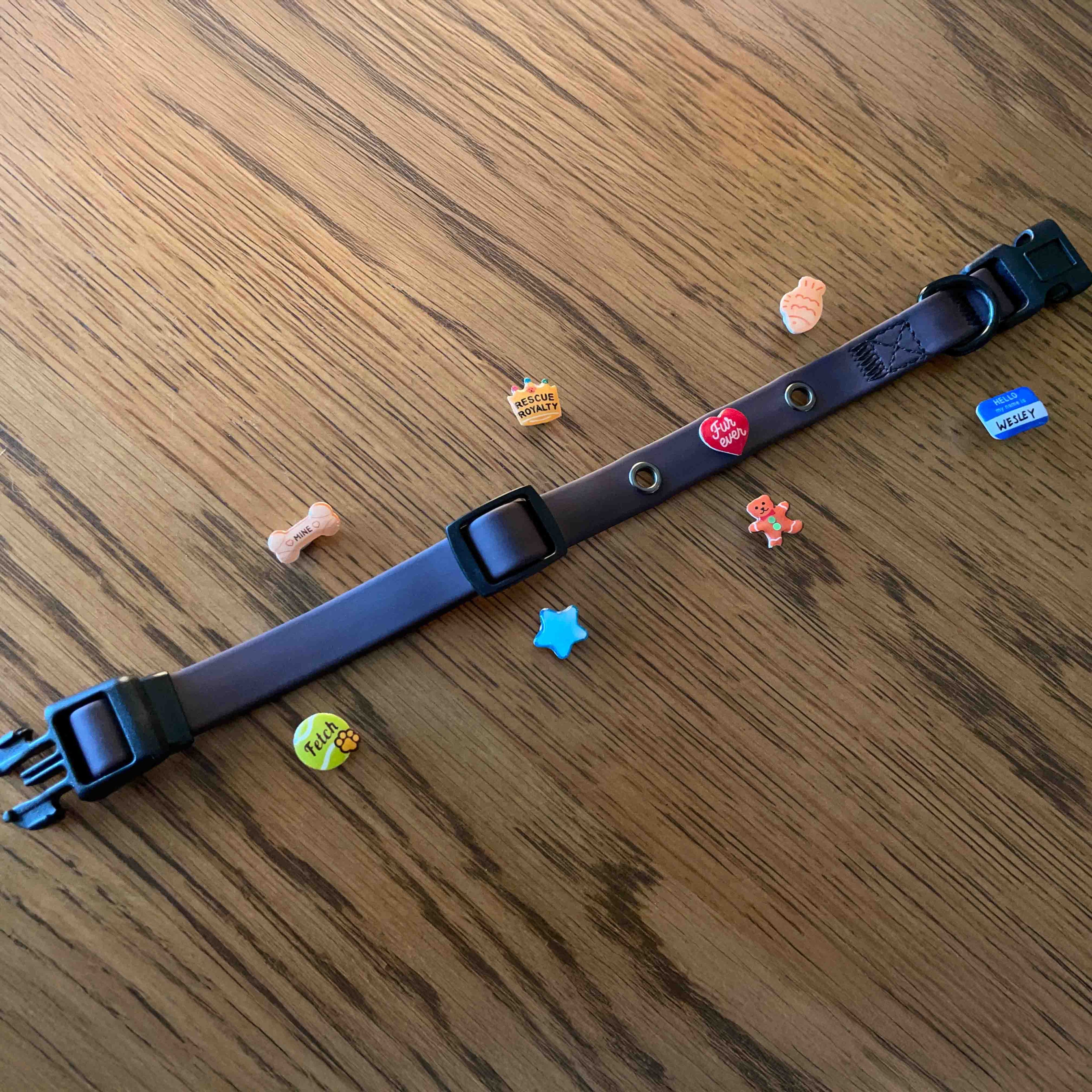 Brown vegan waterproof dog collar with colorful charms on a wooden surface
