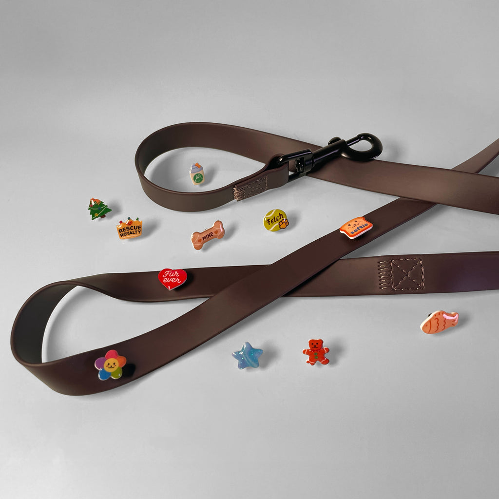 Unique waterproof dog leash with three enamel dog charms attached. Additional charms shown next to it.