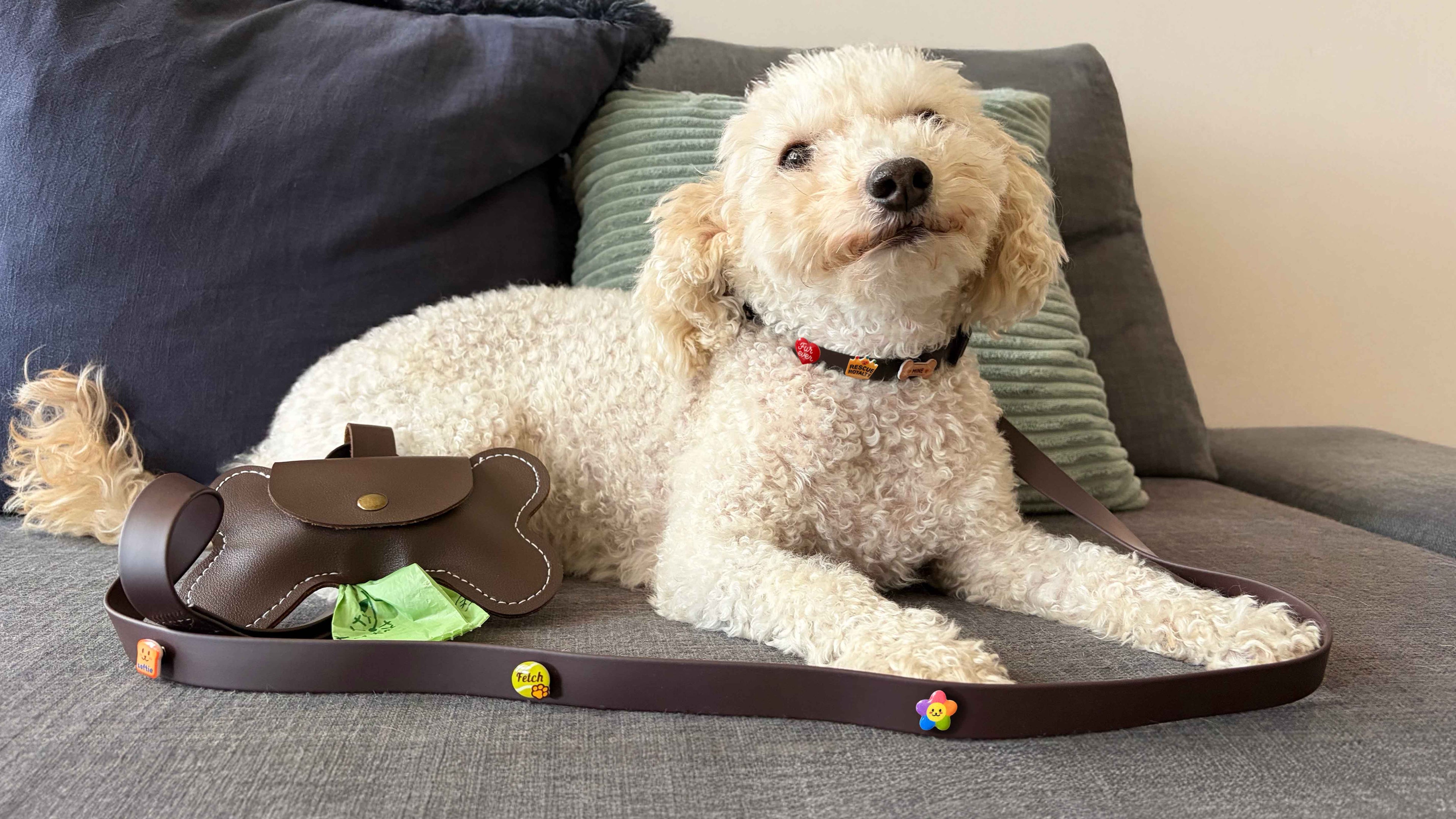 Dog lying on a couch wearing a custom collar and leash decorated with pet charms like a tennis ball, flower, loaf of bread, heart and milk bone.